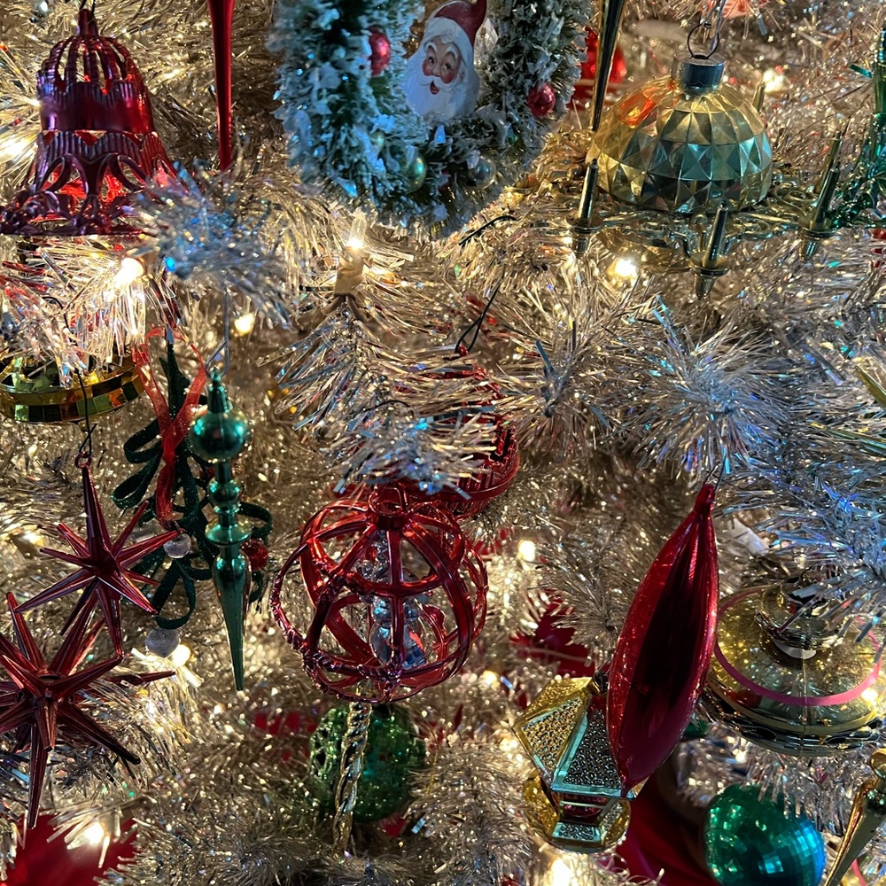 Meet your Posher, Janice